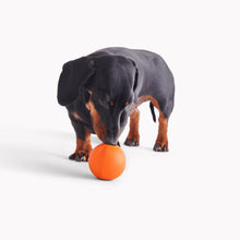 Load image into Gallery viewer, Beco Fetch Ball