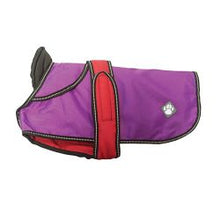 Load image into Gallery viewer, 2 in 1 Dog Coat