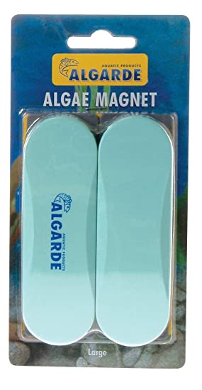 Algae Magnet - Medium