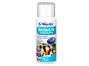 Bacterlife