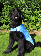 Load image into Gallery viewer, Cool Coat