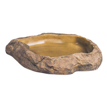 Load image into Gallery viewer, Reptile Feeding Dish