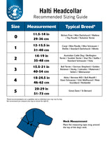 Load image into Gallery viewer, Halti Headcollar