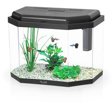 Load image into Gallery viewer, Happy Kid Aquarium