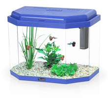 Load image into Gallery viewer, Happy Kid Aquarium