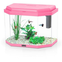 Load image into Gallery viewer, Happy Kid Aquarium