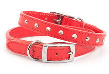 Load image into Gallery viewer, Classic Studded Leather Collars