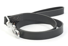 Load image into Gallery viewer, Classic Leather Leads