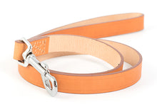Load image into Gallery viewer, Classic Leather Leads