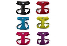 Load image into Gallery viewer, Viva Mesh Harness