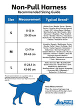 Load image into Gallery viewer, Non Pull Harness