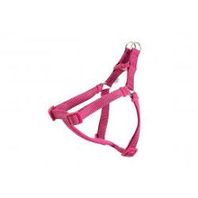 Load image into Gallery viewer, Nylon Padded Exercise Harness