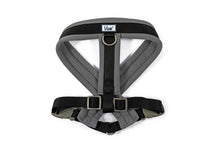 Load image into Gallery viewer, Viva Padded Harness