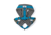 Load image into Gallery viewer, Viva Padded Harness
