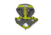 Load image into Gallery viewer, Viva Padded Harness