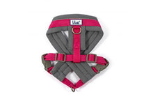 Load image into Gallery viewer, Viva Padded Harness