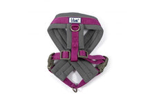Load image into Gallery viewer, Viva Padded Harness