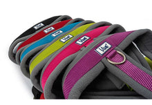 Load image into Gallery viewer, Viva Padded Harness