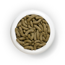 Load image into Gallery viewer, Science Selective Adult Rabbit