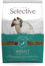 Load image into Gallery viewer, Science Selective Adult Rabbit