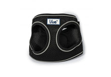 Load image into Gallery viewer, Viva Step In Mesh Harness