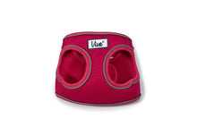 Load image into Gallery viewer, Viva Step In Mesh Harness