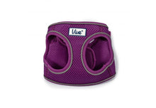 Load image into Gallery viewer, Viva Step In Mesh Harness