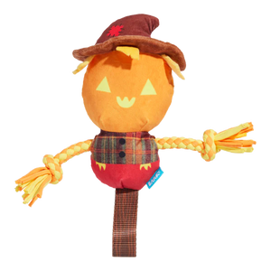 Halloween Jack Crow Lantern