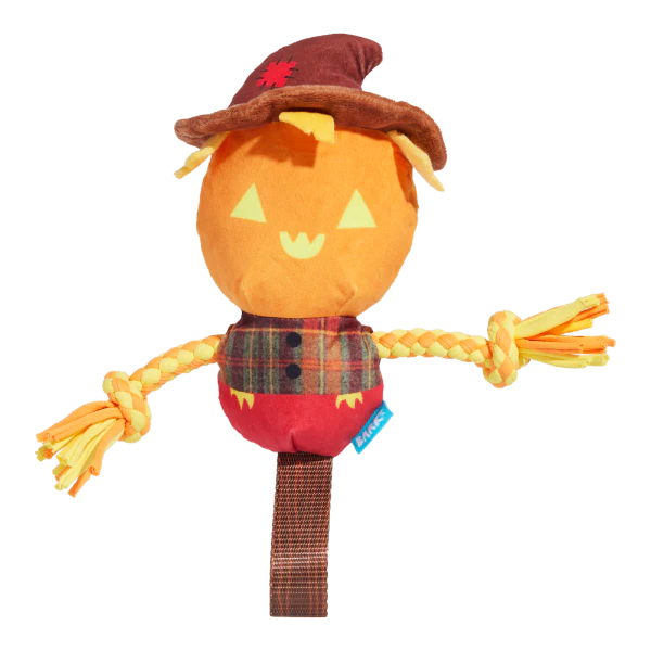Halloween Jack Crow Lantern