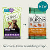 Burns Grain Free Turkey & Potato