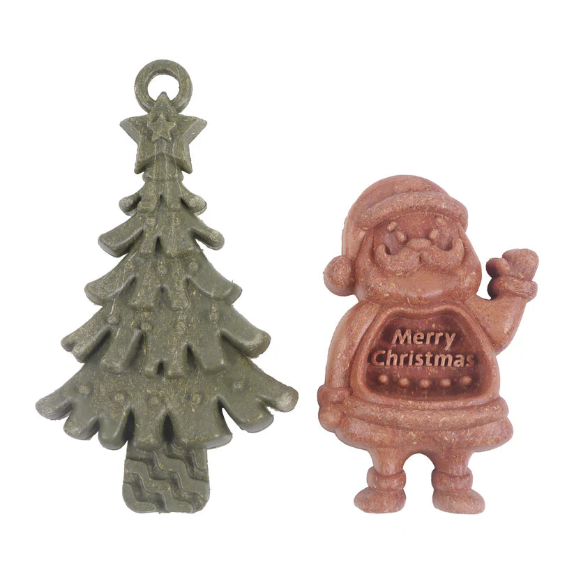 Veggie Burst Santa & Tree Duo