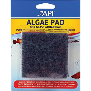 Algae Pad