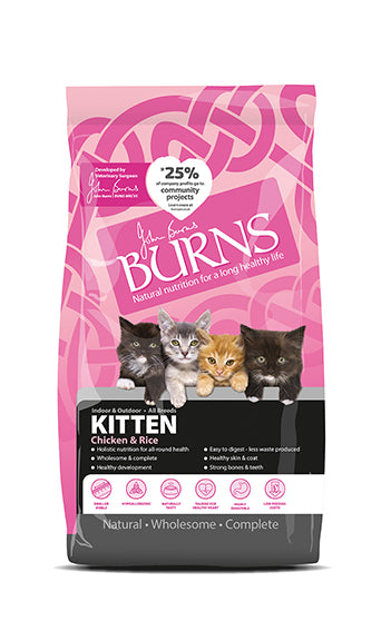 Burns Kitten