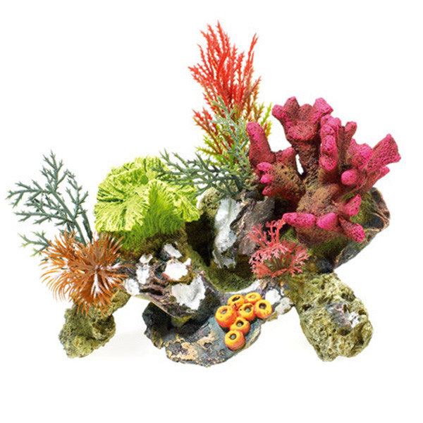 Coral Rocks & Plant