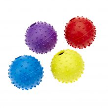 Pimple Ball with Bell
