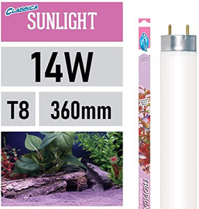 Classica Tropical Sunlight T8 15” 14W