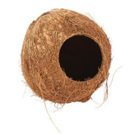 Coconut Hut