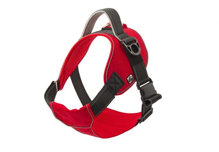 Extreme Harness