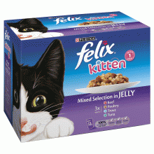 Felix Kitten Mixed Selection in Jelly
