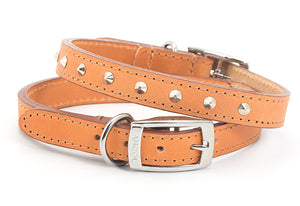 Classic Studded Leather Collars