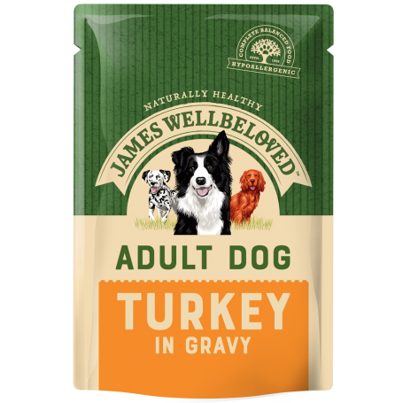 James Wellbeloved Dog Adult Turkey Pouch