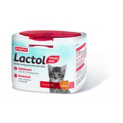 Lactol Kitten