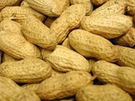 Nuts In Shells