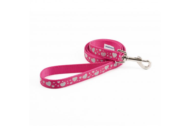 Nylon Reflective Lead - Pink with Hearts
