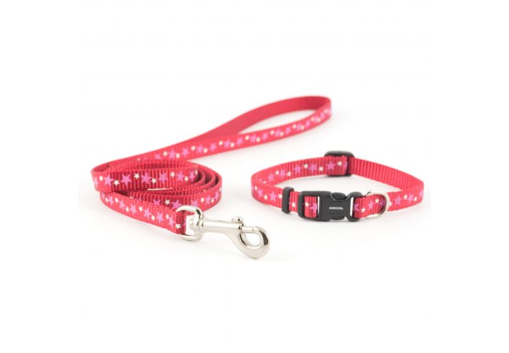 Puppy Collar & Lead Set - Stars