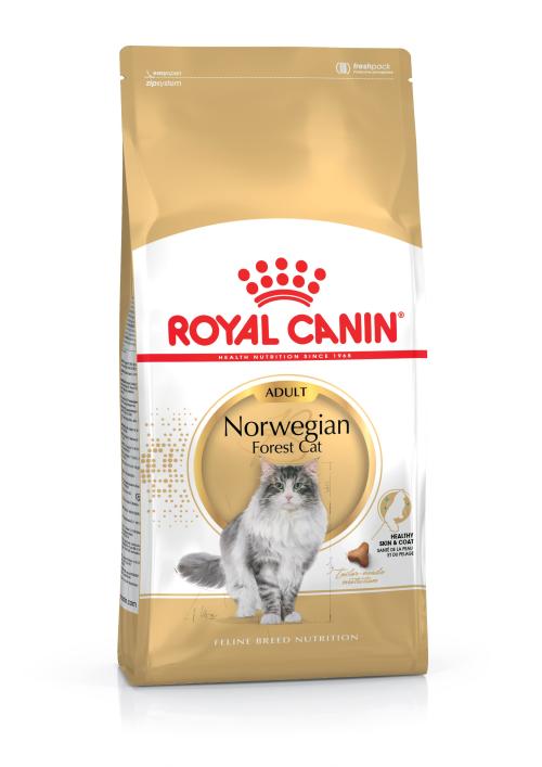 Royal Canin Norwegian Forest Cat