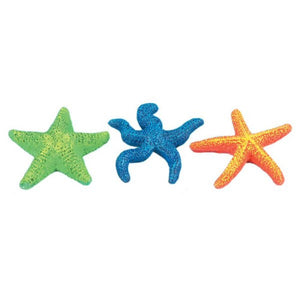 Starfish Assorted 3.5”