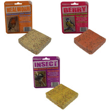 Load image into Gallery viewer, Suet To Go Blocks
