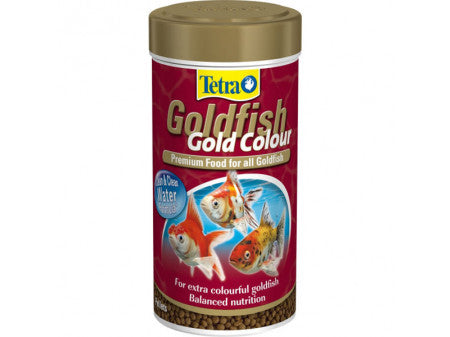 Tetra Goldfish Gold Colour