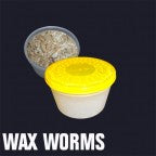 Waxworms